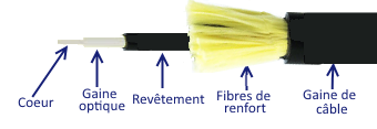 C'est quoi la fibre optique ? Ce que vous devez savoir